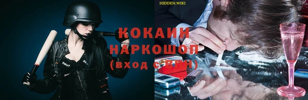 ПСИЛОЦИБИНОВЫЕ ГРИБЫ Аркадак