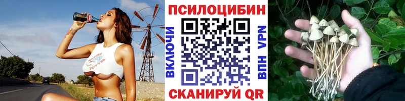 Галлюциногенные грибы GOLDEN TEACHER  Нестеровская 